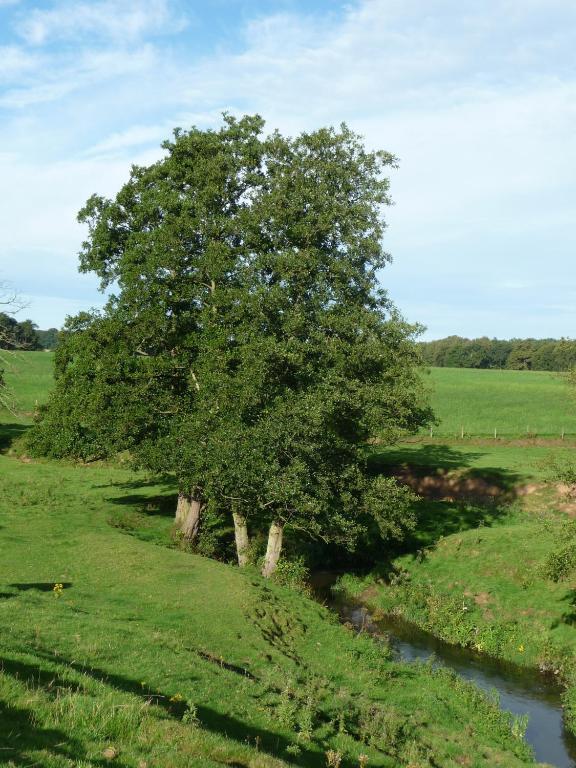 Birtles Farm Knutsford